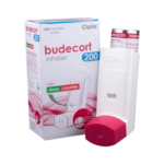 budesonide-inhalation
